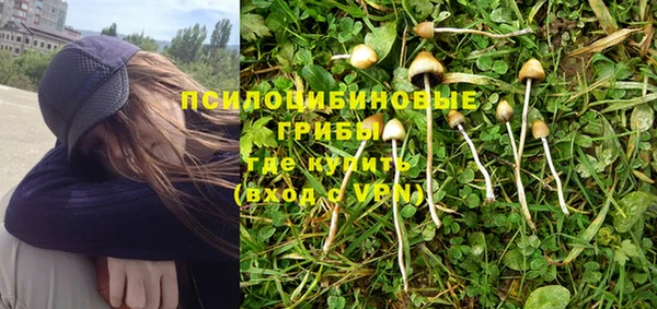 круглые Алексеевка