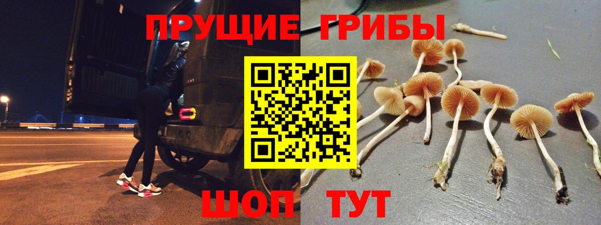 Галлюциногенные грибы мухоморы Ишим